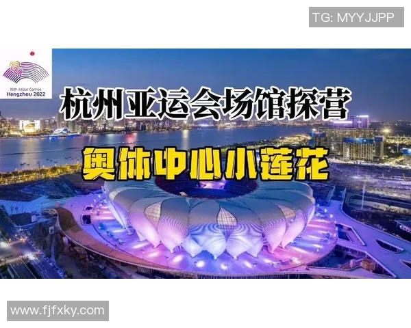 杭州网球队总决赛战术分析与表现评估全面解读